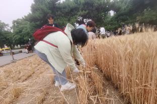 今天客战湖人！雷霆核心亚历山大可以出战